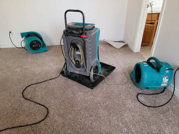  Snyderville, UT Water damage restoration Pros