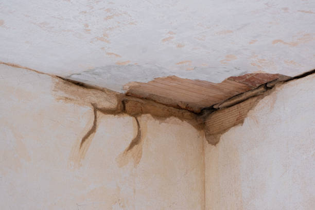 Best Residential water damage restoration  in Snyderville, UT