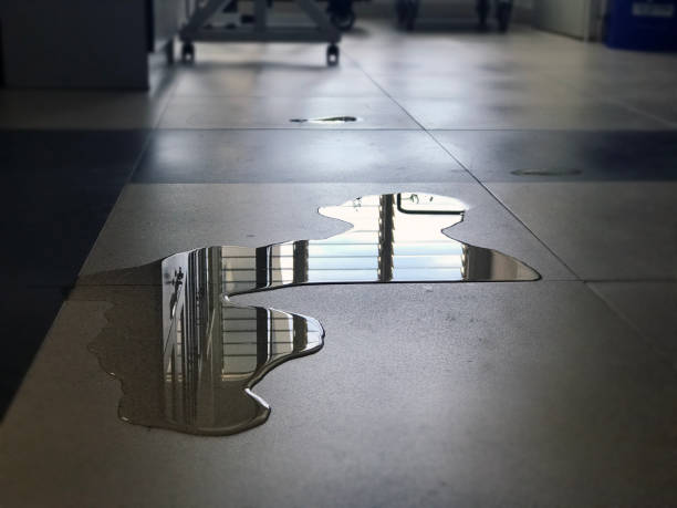 Best 24/7 water damage repair  in Snyderville, UT