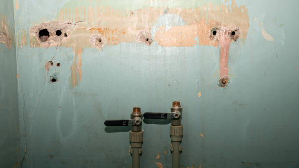 Best Flooded house restoration  in Snyderville, UT