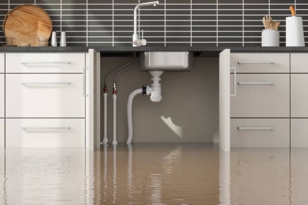 Best Sewage cleanup and water damage restoration  in Snyderville, UT