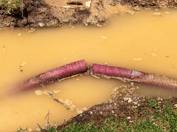 Best 24-hour water damage restoration  in Snyderville, UT