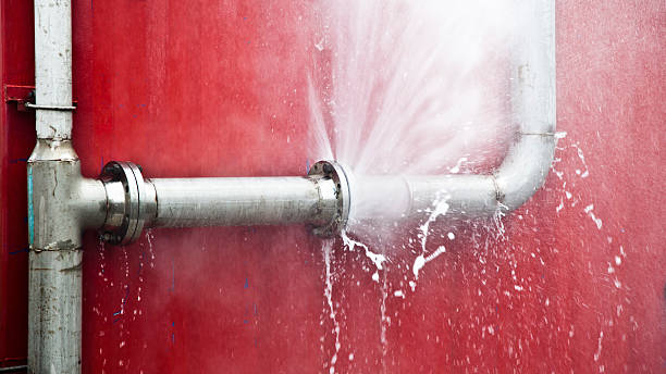 Best Water damage cleanup near me  in Snyderville, UT